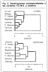Dendrogramas